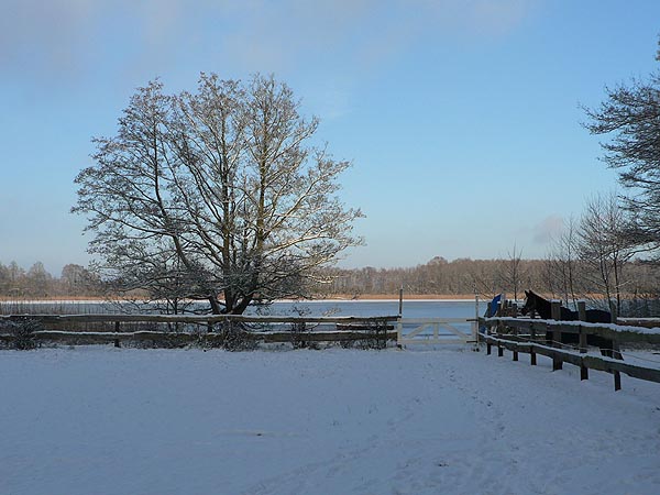 Winterkoppel